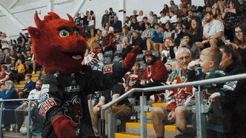 Devils Hockey GIF by Cardiff Devils