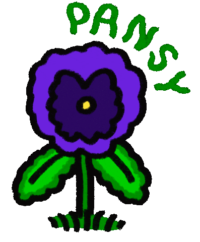 Flower Pansy Sticker by Bianca Maradiaga