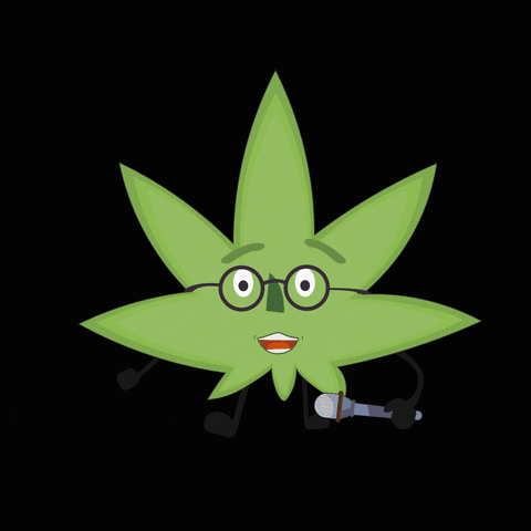 greenbrothers cannabis maconha greenbrothers GIF
