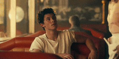 Shawn Mendes Camila Cabello GIF by Shawn Mendes