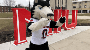 Niu Huskies GIF by Northern Illinois University
