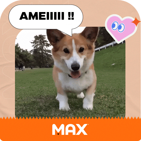 GIF by Max Total Alimentos