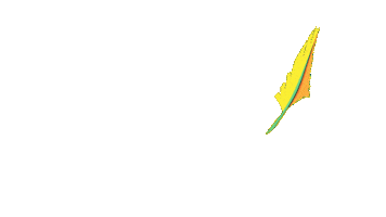 Wishfestival Festivalwish Sticker by WiSH Outdoor