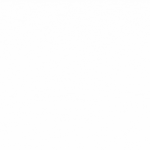 Wynn Florante GIF