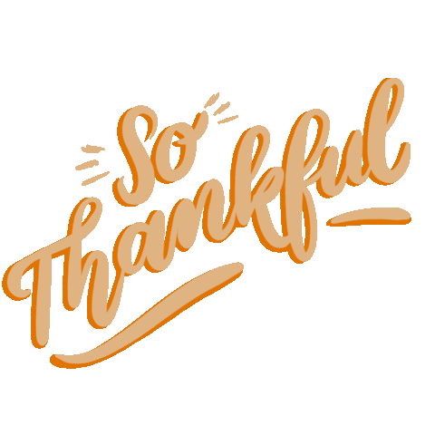 Thanksgiving Sticker by Sleeplessmamadr