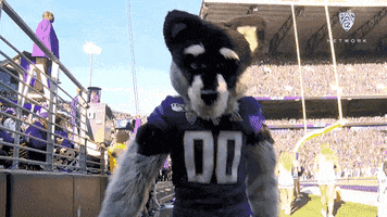 Pointing Hello GIF by Pac-12 Network