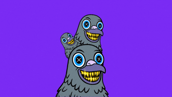Pigeons GIF