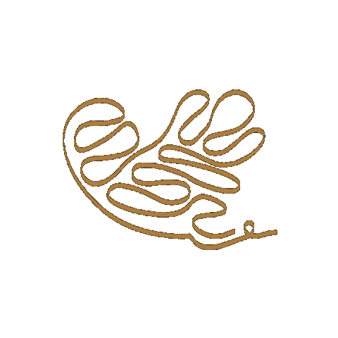 Heart Love Sticker by EchoByJMG