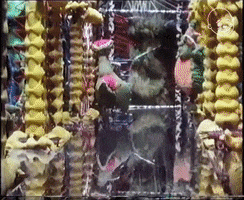 Strangers In Paradise Grocery Shopping GIF by Eternal Family