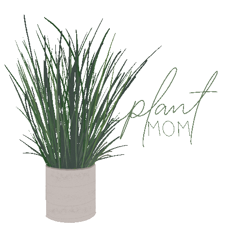 Illustration Sticker