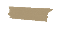 Ab Sticker