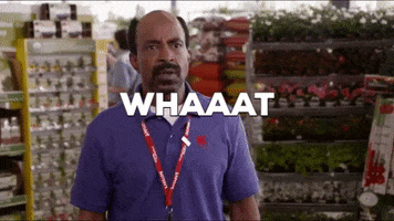 Grown Ups 2 GIF