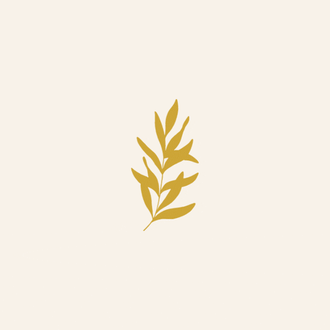 vegaduque GIF