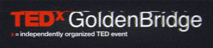 Ted Talk Event GIF by TEDxGoldenBridge