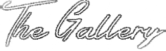 thegalleryworld GIF