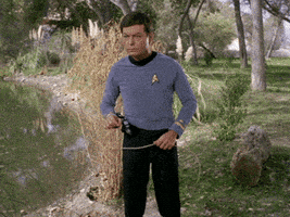 Star Trek Bones GIF