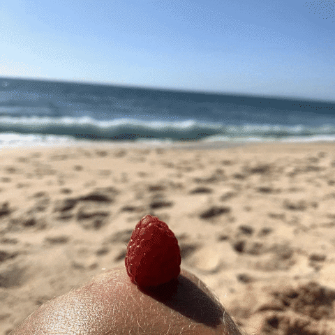 Equal Food GIF