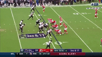 Nfl GIF