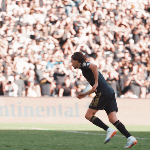 Los Angeles Fc Win GIF by LAFC