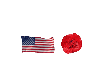 Memorial Day Thank You Sticker by Vinnie Camilleri