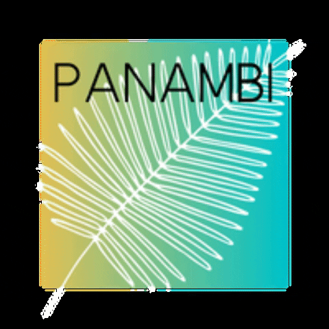 Panambi GIF