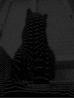 Black And White Cat GIF by A. L. Crego