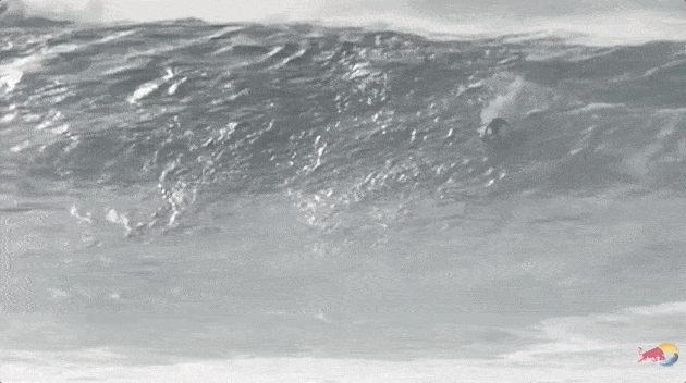 Big Wave Surfing Surf GIF by MOODMAN