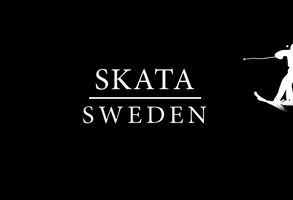 Skata Sweden GIF