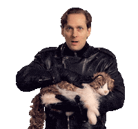 Evil Cat Laugh Stickers - Find & Share on GIPHY