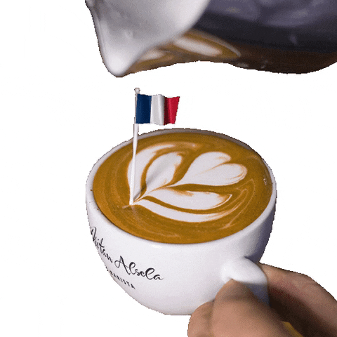 France Paris GIF by Dritan Alsela Coffee