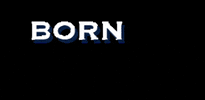 PELICAN BREWING COMPANY GIF