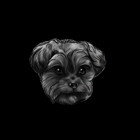 PierrePablo GIF