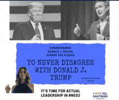 karaforcongress GIF