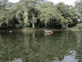 River GIF