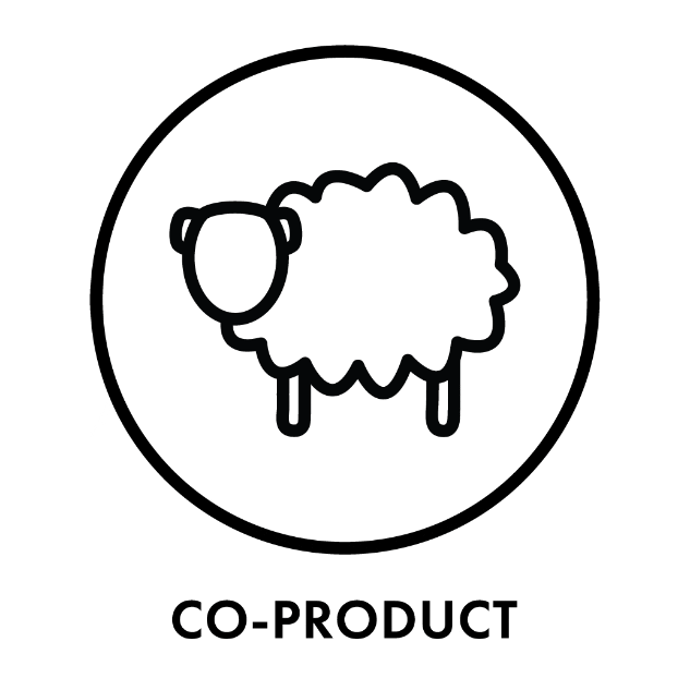 Wolf Badger GIFs Find & Share on GIPHY