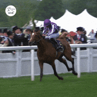 Ascot Racecourse Gif Find Share On Giphy Ascot Racecourse Gif Find Share On Giphy