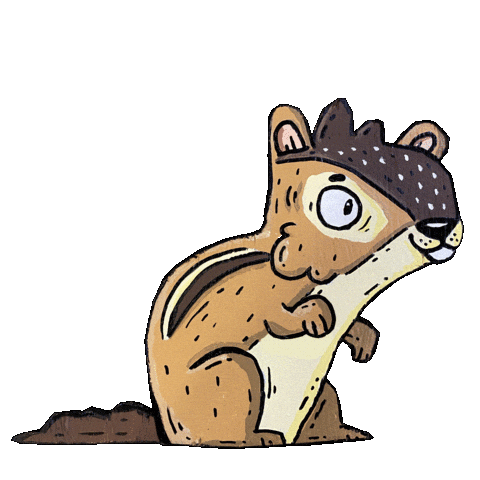 Squirrel Nuts Sticker by Mike Bennett Art
