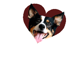 Лежанка Для Собак Sticker by PET BED