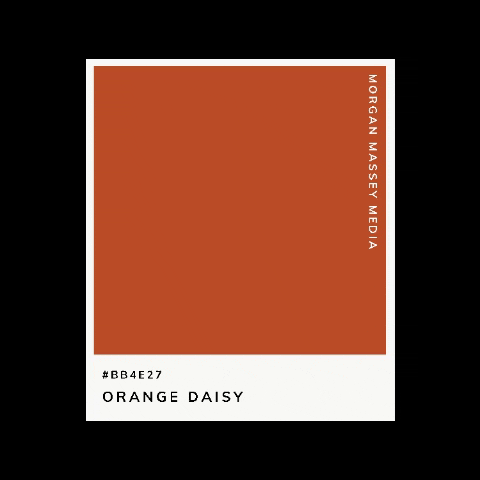 Morgan Massey Media GIF