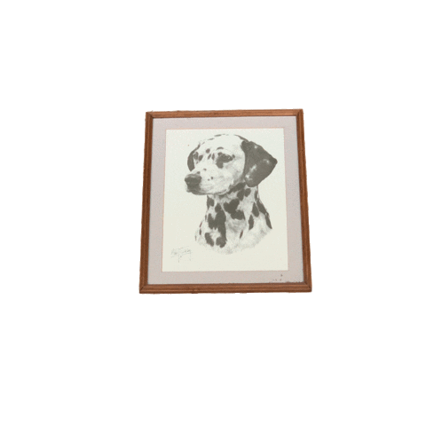Sticker by coelhodafonseca