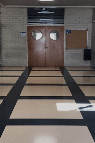 Walking Sunglasses GIF