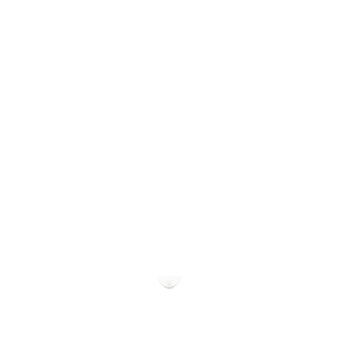 Matzo Ball Passover GIF by tyhnation