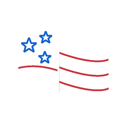Politics Flag Sticker by USA TODAY