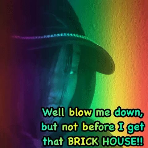 House Brick GIF by Woman Willionaire