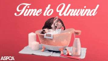 Video gif. A fancy bath has been set up for a cat. There are candles, bath salts, toys, and a little tub and everything is peachy pink. The cat steps into the tub and sniffs around.