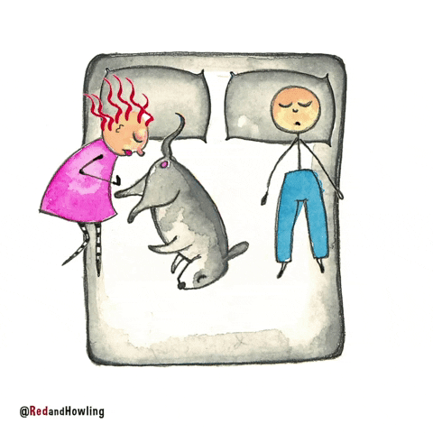 Time For Bed Dog GIF by Red & Howling