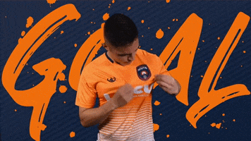 league one goal GIF by Lansing Ignite FC