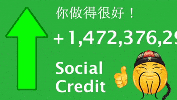 China Social Credit GIF