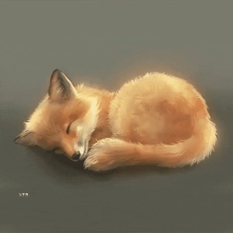 Baby-fox GIFs - Get the best GIF on GIPHY