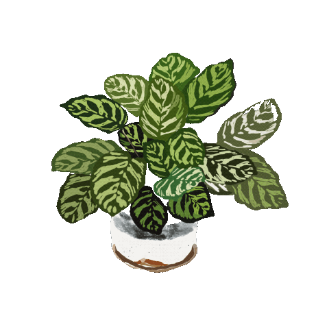 Plant Sticker